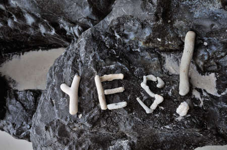 Word 'Yes' written using coralsの写真素材
