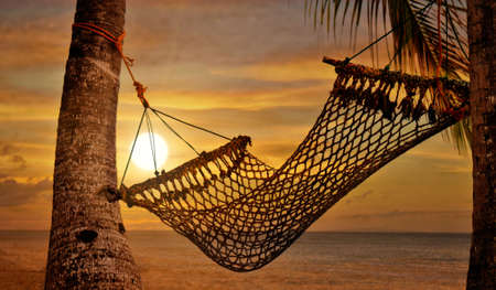 Sunset Hammock at Beach Shoreの写真素材