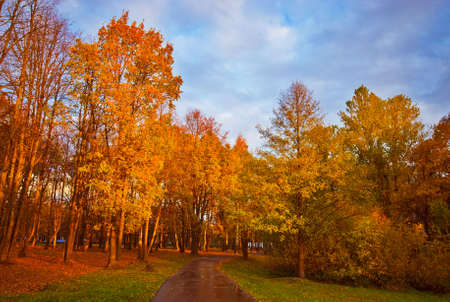 Walking in Autumn Park after Rainの写真素材