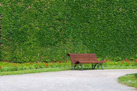 Lonely wooden bench in the parkの写真素材