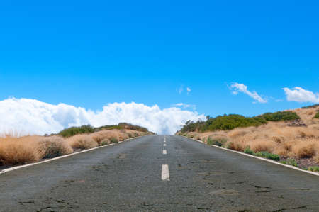 Desert road stretching into the horizon on Lanzarote island, Canarian island, Spain in summer sunny dayの写真素材
