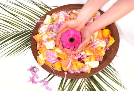 Woman Hands Spa with flower petals and natural ingredients - manicure concept isolated on white backgroundの写真素材