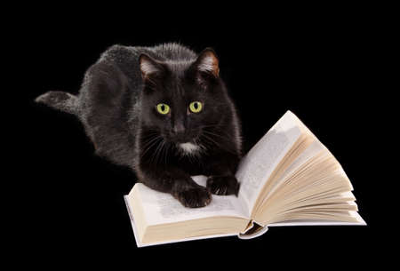 Black cat reading a book lying on black backgroundの写真素材