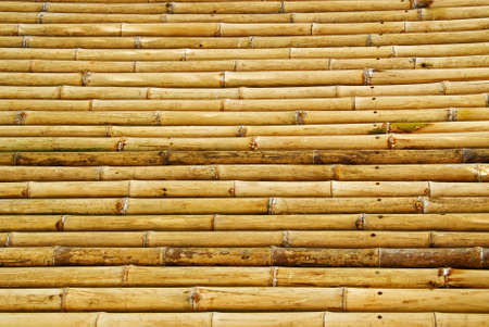 Large Horizontal Bamboo Wall background and Textureの写真素材