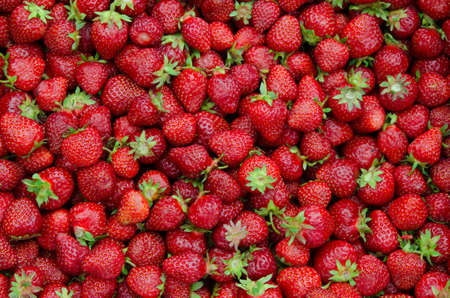 Fresh strawberry backgroundの写真素材