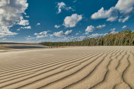 Endless Sandy Dunes of Leba on Baltic Sea Shore in Polandの写真素材