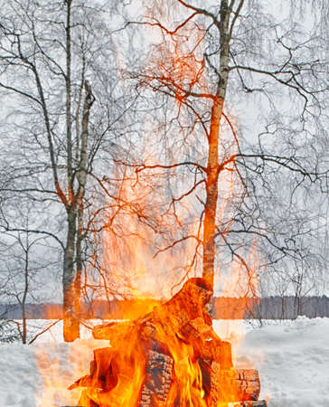 Outdoor bonfire in winter in the middle of snow forestの写真素材