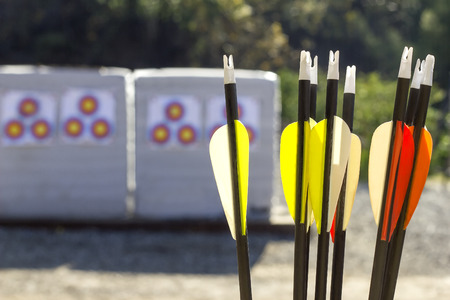 Archery or shooting range with bow and arrows on a sunny outdoor setting.  The equipment is used in...