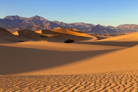 Sand dunes in a desert landscape in Death Valley California.  The vast barren land is dry and arid due to droughts result of global warming and climate change.の写真素材