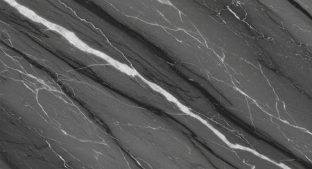 black marble patterned texture background (High resolution). Black and whiteの写真素材