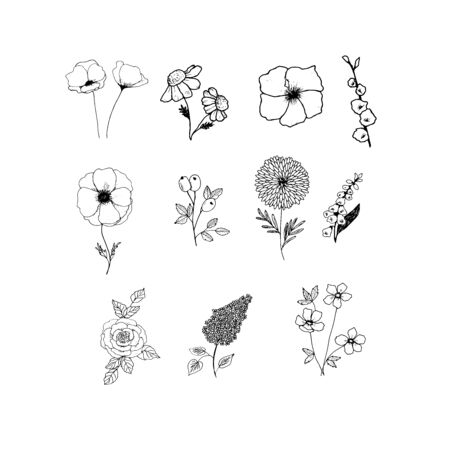 Vector set of hand drawn flowers. Sketch of flowers drawn in black lines on a white background. Chamomile, lilac, rose, hibiscus, calendula, buttercups, wild rose.のイラスト素材