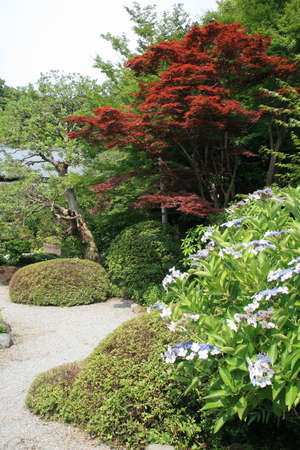 Japanese Gardenの写真素材