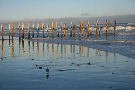 The remains of the seaside pierの写真素材