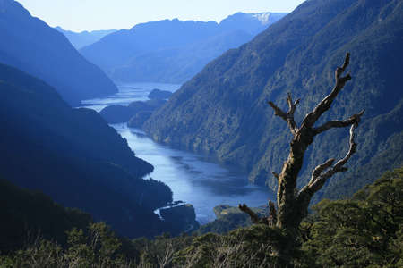 Doubtful Sound, New Zealandの写真素材