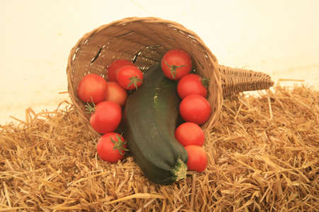Autumn Harvestの写真素材