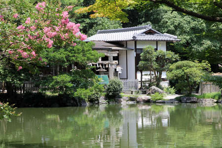 Garden, Temple, Japanの写真素材