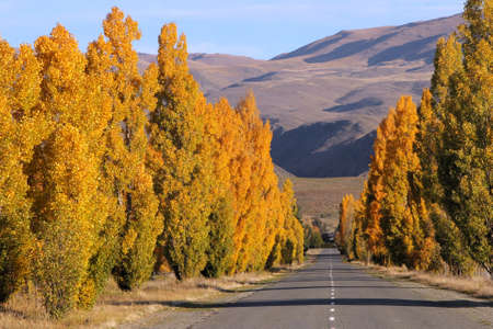 Autumn (fall) coloursの写真素材