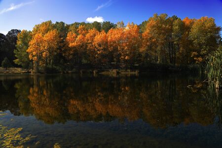 Autumn Colours' reflections in New Zealand's South Islandの写真素材