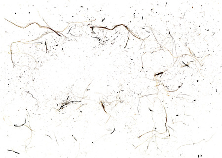 Dust and dirty surface for grunge background or textureの写真素材