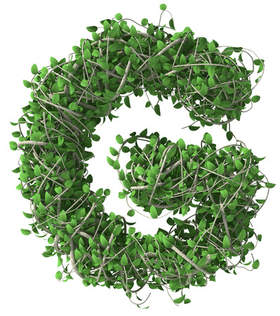 Green alphabet made of trees and leafs. Seasonal summer letter Gの写真素材