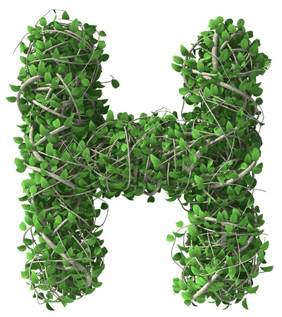 Green alphabet made of trees and leafs. Seasonal summer letter Hの写真素材