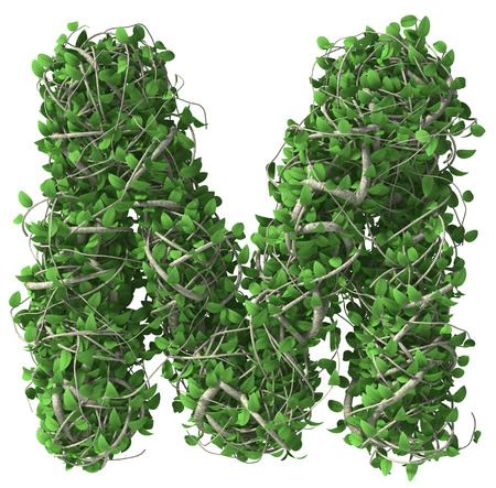 Green alphabet made of trees and leafs. Seasonal summer letter Mの写真素材