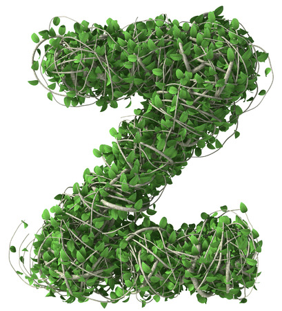 Green alphabet made of trees and leafs. Seasonal summer letter zの写真素材