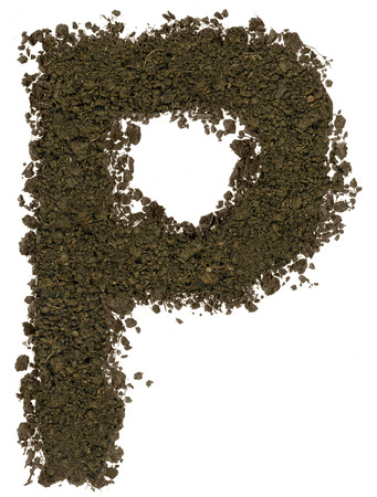 Alphabet made of brown soil on white background. High sharp and detail. Letter Pの写真素材