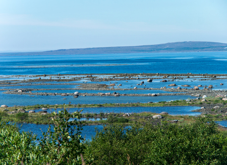 Low tide in the beach of Varanger fiordの写真素材