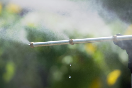 Mist shower