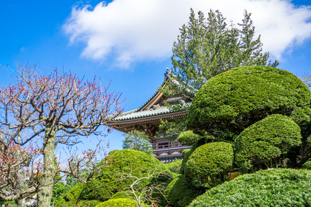 Japan gardenの写真素材