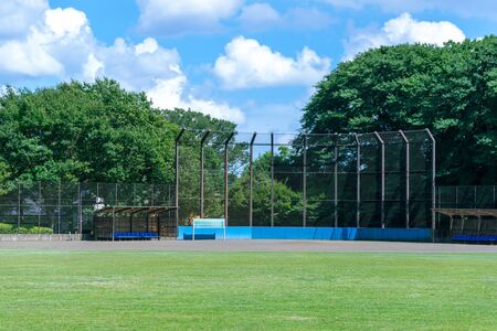 Fresh green and blue sky in the park