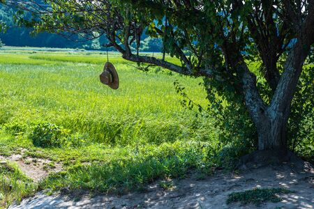 Countrysideの写真素材