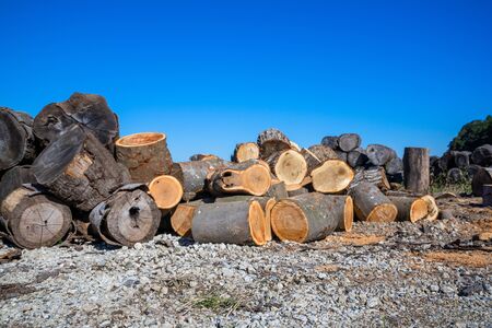 a log for firewood