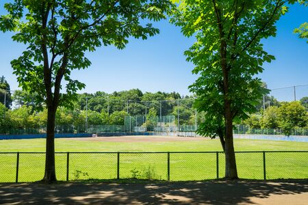 Fresh Green Parkの写真素材
