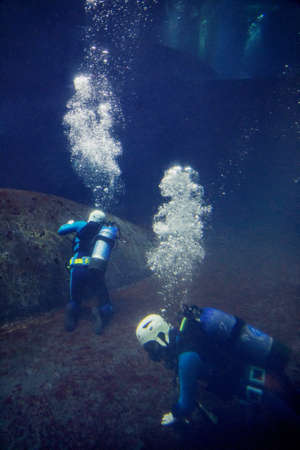A diver cleaning the aquarium