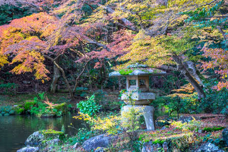 Fall foliage