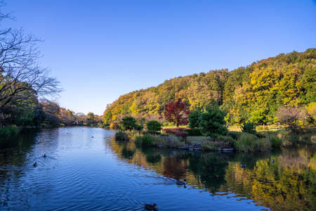 A beautiful view of the park with the pondの写真素材