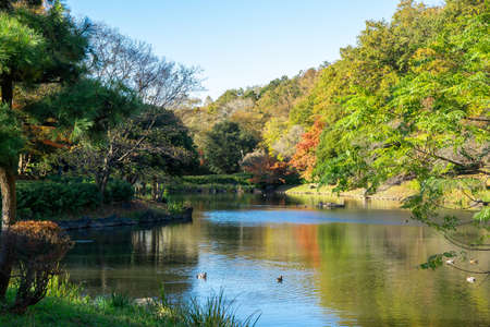A beautiful view of the park with the pond