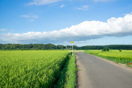 Countrysideの写真素材