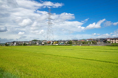 Countrysideの写真素材