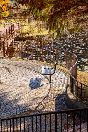 Fall foliageの写真素材