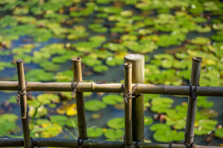 Park with Pondの写真素材