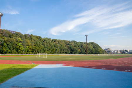 Stadium with green grass and red colorful groundの写真素材