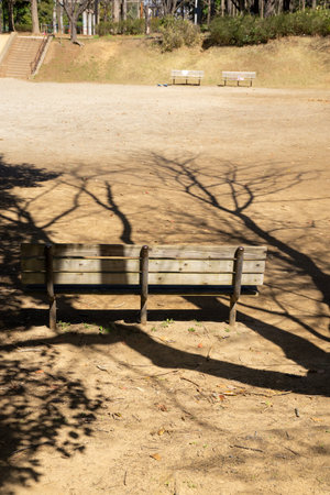 A refreshing afternoon park sceneの写真素材