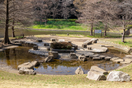 A refreshing afternoon park sceneの写真素材