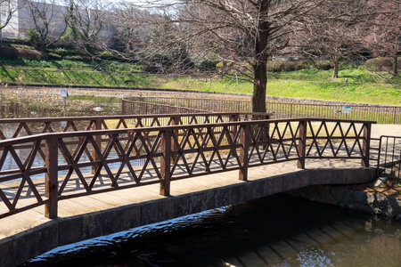 A refreshing afternoon park sceneの写真素材