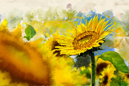 Watercolor painting of sunflowers on a white background. Hand-drawn illustration.の写真素材