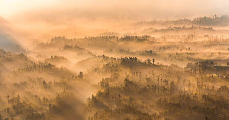 Cemoro Lawang; small village in morning mist. Which situated on the edge of massive north-east of Mount Bromo, East Java, Indonesiaの写真素材