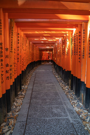 Fushimi Inari Taisha Shrine in Kyoto, Japan.の写真素材